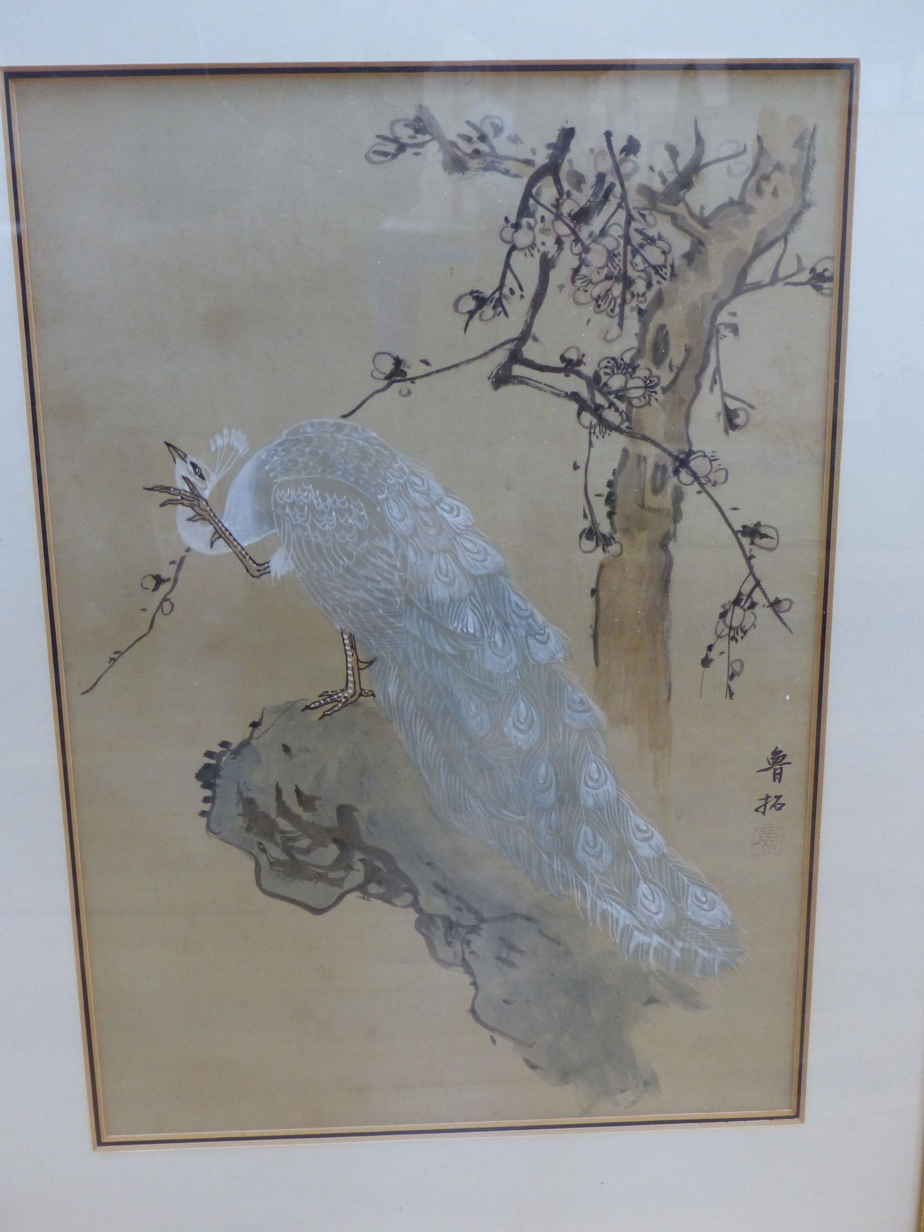 Japanese School, 20th century, a pair of works on silk, Studies of peacocks, 37 x 26cm